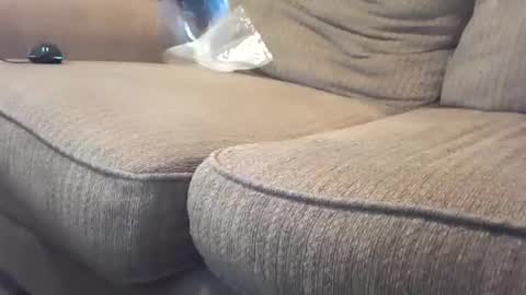 hardcock2share online show from February 4, 10:55 pm