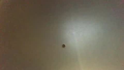 For You online show from November 13, 10:18 am