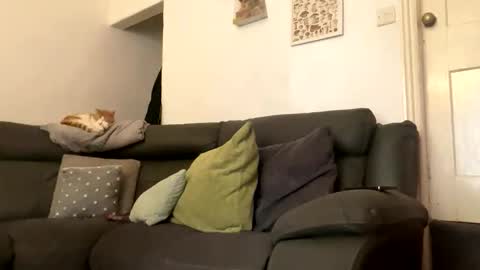 harleeyb online show from February 6, 10:41 am