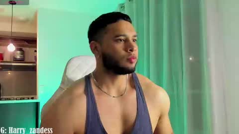 Harry Zandes online show from February 25, 4:03 am