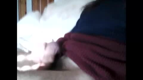 havier282874 online show from March 30, 6:35 am