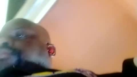 hbdj2164 online show from February 23, 3:40 pm