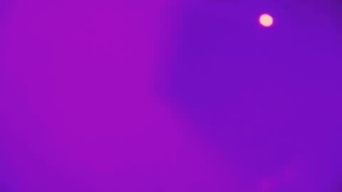 heidikendal online show from February 26, 3:26 pm