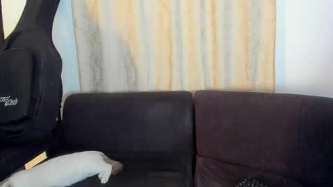 Snapshot of henrik_senn chatting on October 15, 4:16 am henrik_senn online show from October 15, 4:16 am