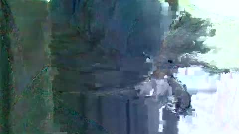 herbee510 online show from December 14, 8:59 pm