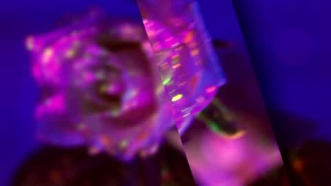 Alina online show from January 14, 6:49 pm