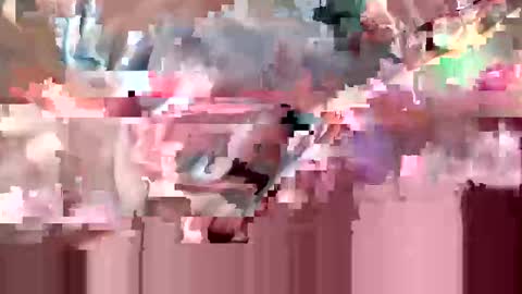 Heywood online show from December 8, 12:02 am