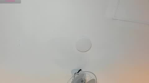 hilary_tailor online show from January 12, 11:06 am