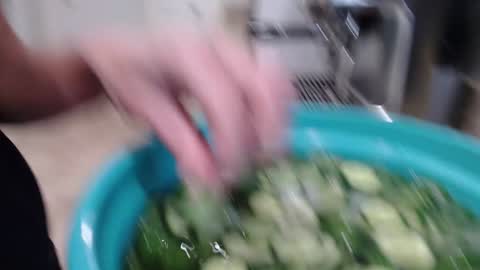 Holi Hurricane online show from September 12, 4:14 am