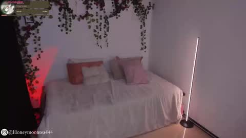 Snapshot of honeymoontea chatting on February 24, 10:14 pm online show from February 24, 10:14 pm