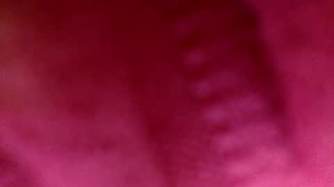 Ruby Sparks online show from March 22, 11:09 pm