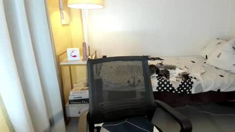 Trixie online show from November 13, 6:49 am