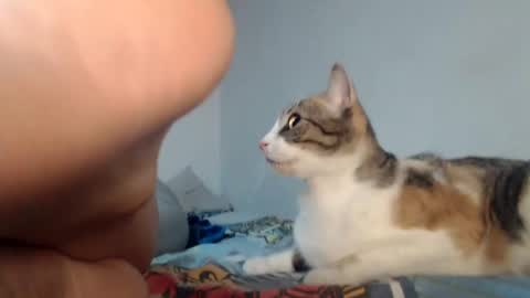 angels online show from January 24, 8:34 am