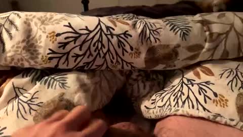 hot_for_you_ online show from October 18, 12:59 am