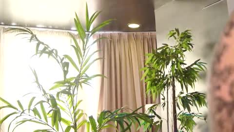 Anais online show from March 15, 10:29 am