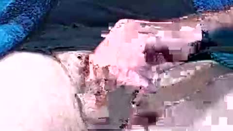 Snapshot of hotcam50 chatting on October 12, 4:53 pm Hotcam50 online show from October 12, 4:53 pm