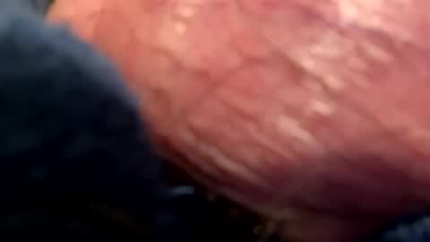 hotdog1124 online show from January 6, 1:09 am