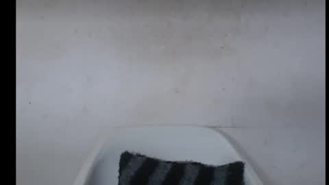 hotjessie0 online show from September 25, 6:20 am