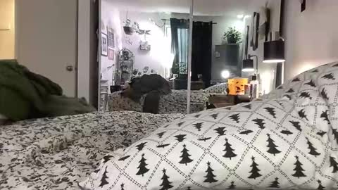 Annabelle online show from March 3, 6:37 pm