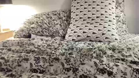 Annabelle online show from February 26, 12:58 am