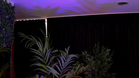 Anais online show from February 2, 9:29 am