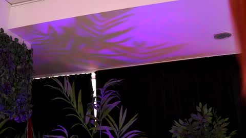 Anais online show from February 17, 6:20 am