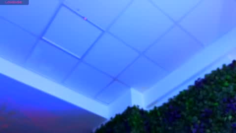 Anais online show from February 2, 12:35 pm