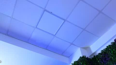 Anais online show from January 29, 9:23 am