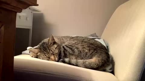 hottiewithabody101 online show from February 11, 2:54 pm