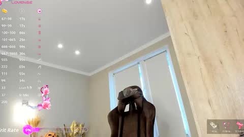 Susan online show from November 16, 12:18 pm