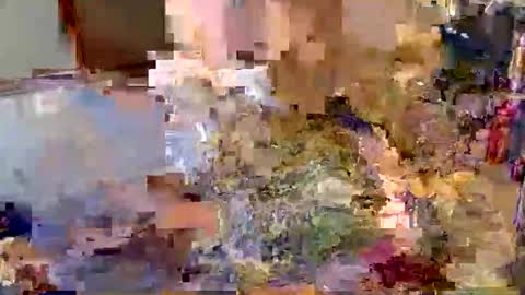 hugecock_caramel online show from May 27, 7:49 am