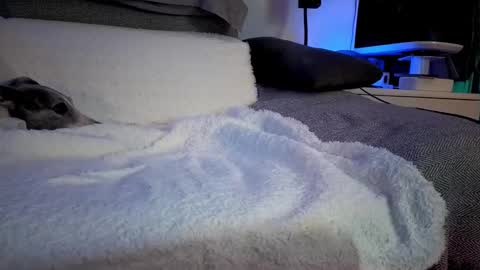 Snapshot of hugolandcam chatting on February 14, 8:26 pm Hugo online show from February 14, 8:26 pm