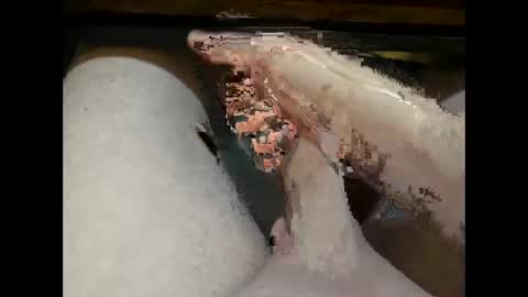 hung_mac0 online show from January 8, 4:13 pm