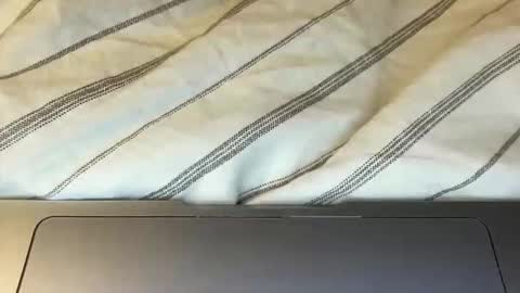 hungbwc online show from November 18, 3:37 pm