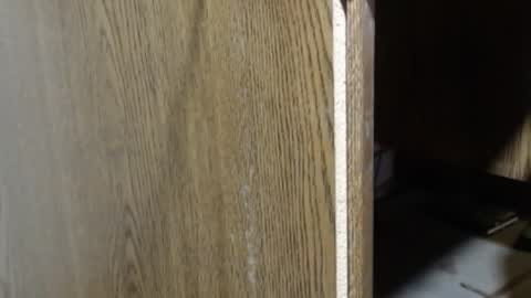 hungsofine online show from January 5, 7:39 pm