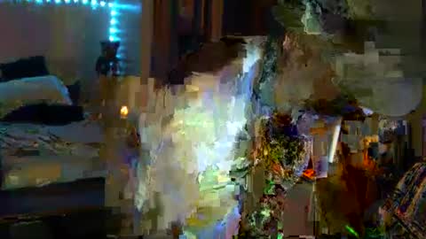 PMS online show from September 29, 11:20 am