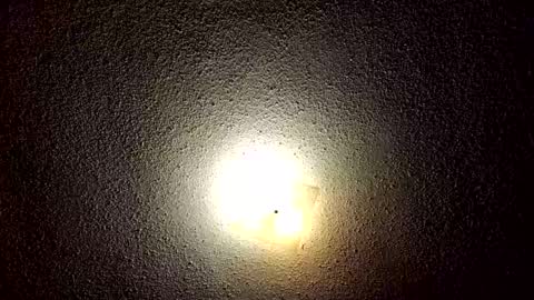 ibussbooties_007 online show from November 18, 6:27 am