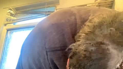 Snapshot of icums4u chatting on January 26, 10:34 am icums4u online show from January 26, 10:34 am