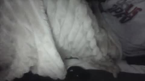 iloveitall86 online show from February 2, 2:03 pm