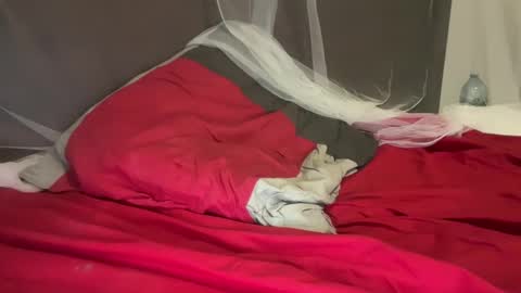 ilovsex9 online show from September 19, 5:00 am