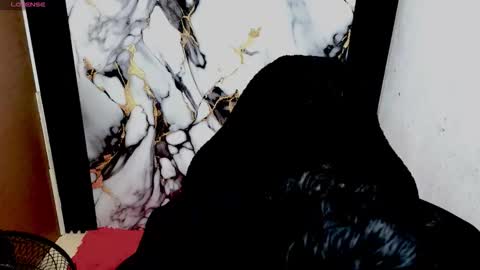 im_david01 online show from February 23, 2:25 am