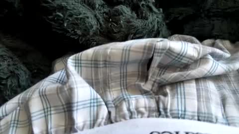 imakeucumonmyface online show from November 5, 5:37 pm