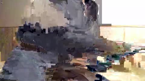 Anu online show from February 10, 4:10 pm