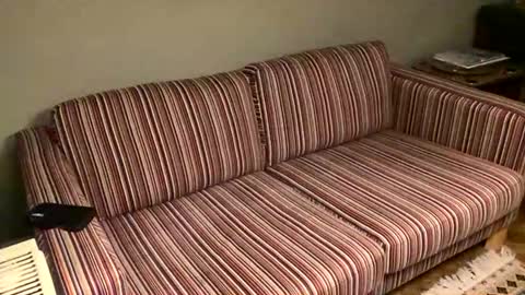 inkpiggy online show from January 13, 8:38 pm