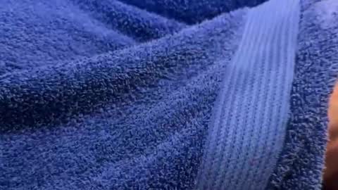 intressiert online show from December 30, 1:25 pm