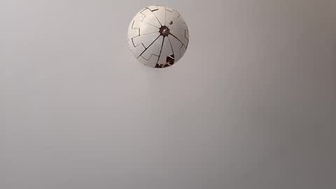 G. Teaser online show from November 7, 10:29 am