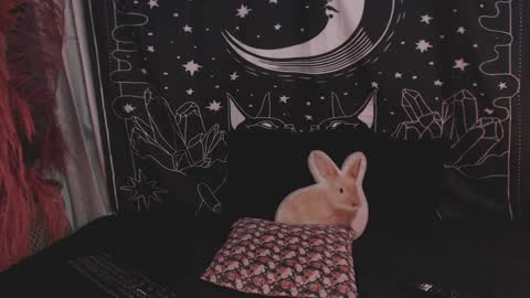    online show from January 29, 11:14 pm