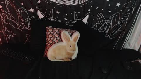    online show from January 12, 3:39 am