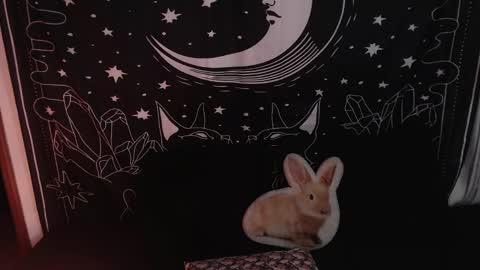    online show from January 23, 12:14 am