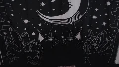    online show from January 31, 11:24 pm